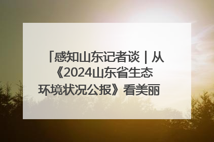 感知山东记者谈｜从《2024山东省生态环境状况公报》看美丽山东建设的“成绩单”与“任务书”