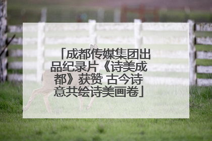 成都传媒集团出品纪录片《诗美成都》获赞 古今诗意共绘诗美画卷