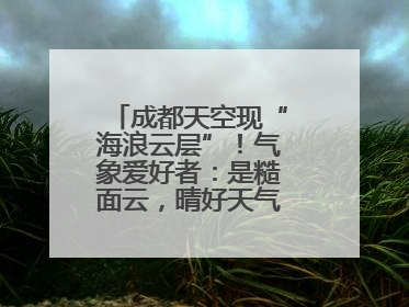 成都天空现“海浪云层”！气象爱好者：是糙面云，晴好天气将短暂上线