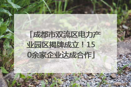 成都市双流区电力产业园区揭牌成立！150余家企业达成合作