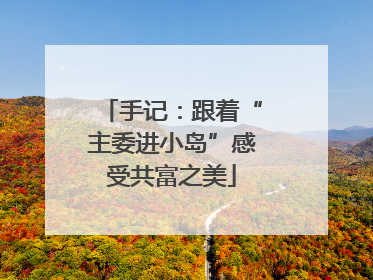 手记：跟着“主委进小岛”感受共富之美