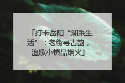 打卡岳阳“湖系生活”：老街寻古韵，渔歌小镇品烟火