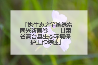 执生态之笔绘绿富同兴新画卷——甘肃省高台县生态环境保护工作综述