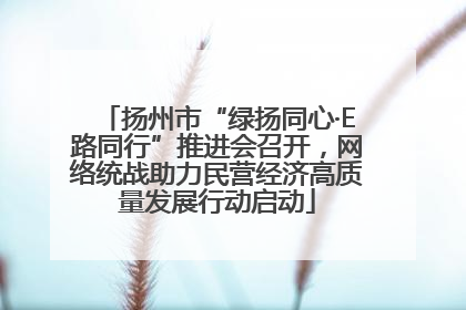 扬州市“绿扬同心·E路同行”推进会召开，网络统战助力民营经济高质量发展行动启动