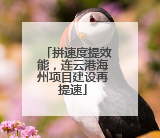拼速度提效能，连云港海州项目建设再提速