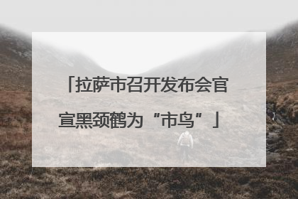 拉萨市召开发布会官宣黑颈鹤为“市鸟”