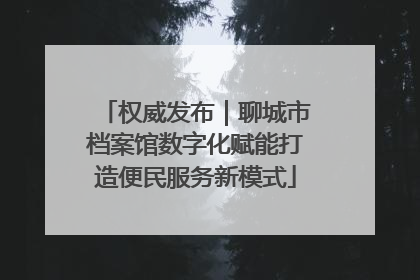 权威发布｜聊城市档案馆数字化赋能打造便民服务新模式