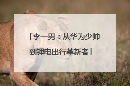 李一男：从华为少帅到锂电出行革新者