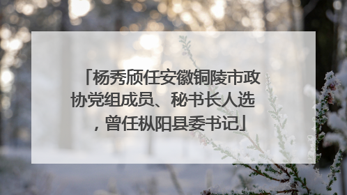 杨秀颀任安徽铜陵市政协党组成员、秘书长人选，曾任枞阳县委书记