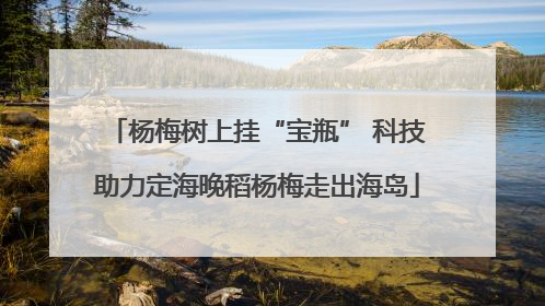 杨梅树上挂“宝瓶” 科技助力定海晚稻杨梅走出海岛