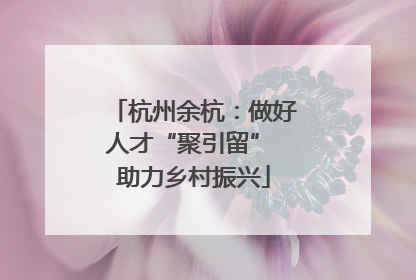 杭州余杭：做好人才“聚引留” 助力乡村振兴