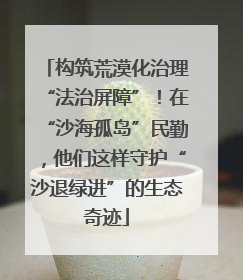 构筑荒漠化治理“法治屏障”！在“沙海孤岛”民勤，他们这样守护“沙退绿进”的生态奇迹