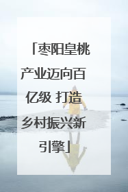 枣阳皇桃产业迈向百亿级 打造乡村振兴新引擎