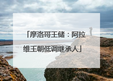 摩洛哥王储：阿拉维王朝低调继承人