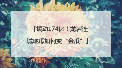 撬动174亿！龙岩连城地瓜如何变“金瓜”