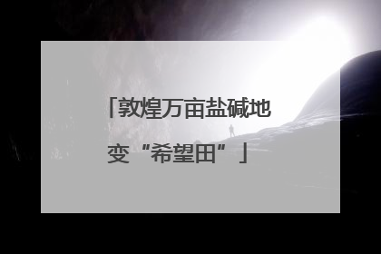 敦煌万亩盐碱地变“希望田”