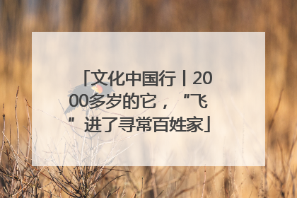 文化中国行丨2000多岁的它，“飞”进了寻常百姓家