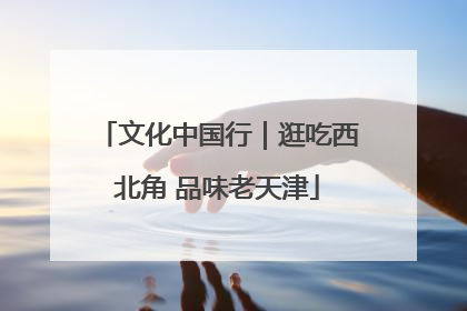 文化中国行｜逛吃西北角 品味老天津