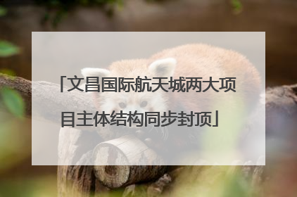 文昌国际航天城两大项目主体结构同步封顶