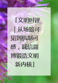文明时评｜从场景可见到机制可感，诚信淄博锻造文明新内核