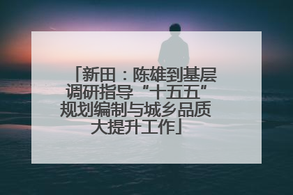 新田：陈雄到基层调研指导“十五五”规划编制与城乡品质大提升工作