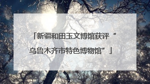 新疆和田玉文博馆获评“乌鲁木齐市特色博物馆”