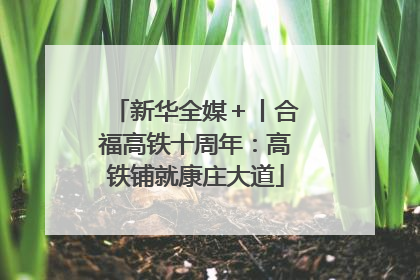 新华全媒＋丨合福高铁十周年：高铁铺就康庄大道
