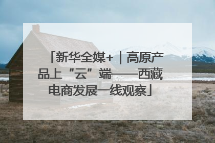 新华全媒+｜高原产品上“云”端——西藏电商发展一线观察
