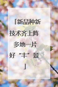 新品种新技术齐上阵 多地一片好“丰”景