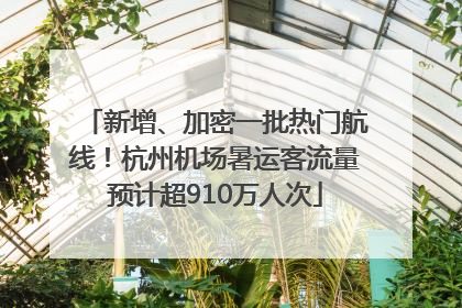 新增、加密一批热门航线！杭州机场暑运客流量预计超910万人次