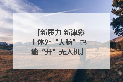 新质力 新津彩丨体外“大脑”也能“开”无人机