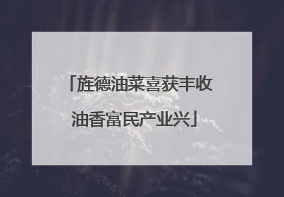 旌德油菜喜获丰收 油香富民产业兴