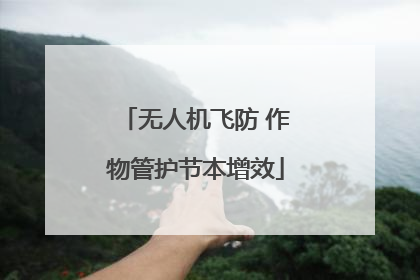 无人机飞防 作物管护节本增效
