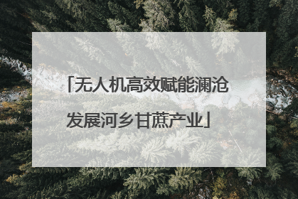 无人机高效赋能澜沧发展河乡甘蔗产业