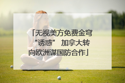 无视美方免费金穹“诱惑” 加拿大转向欧洲谋国防合作