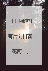 日照这里有片向日葵花海！