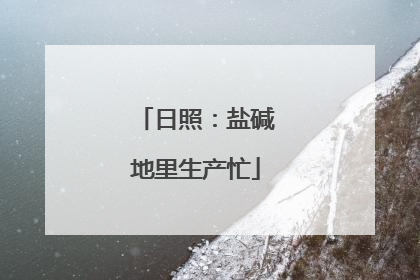 日照：盐碱地里生产忙