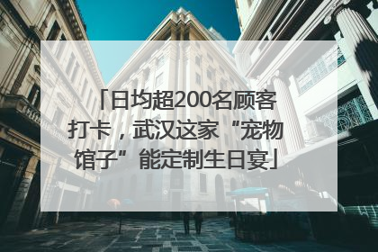 日均超200名顾客打卡，武汉这家“宠物馆子”能定制生日宴