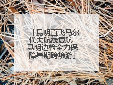 昆明直飞马尔代夫航线复航 昆明边检全力保障暑期跨境游