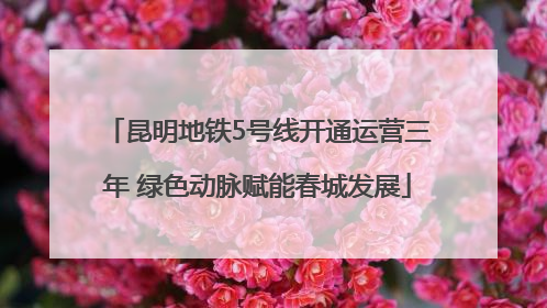 昆明地铁5号线开通运营三年 绿色动脉赋能春城发展