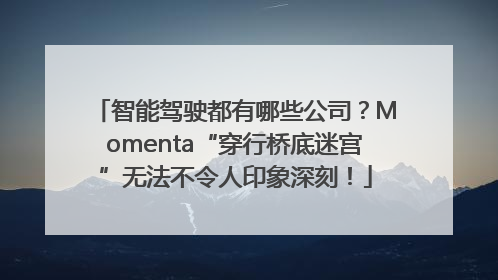 智能驾驶都有哪些公司？Momenta“穿行桥底迷宫”无法不令人印象深刻！