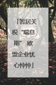 暂居关税“喘息期” 欧盟企业忧心忡忡