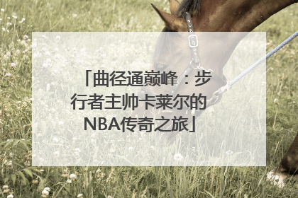 曲径通巅峰：步行者主帅卡莱尔的NBA传奇之旅