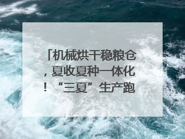 机械烘干稳粮仓，夏收夏种一体化！“三夏”生产跑出加速度｜麦报