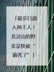 最多日涌入两千人！北灵山的野韭菜快被“薅秃了”