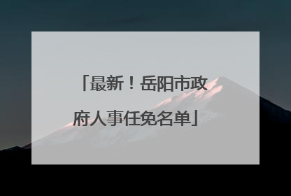 最新!岳阳市政府人事任免名单