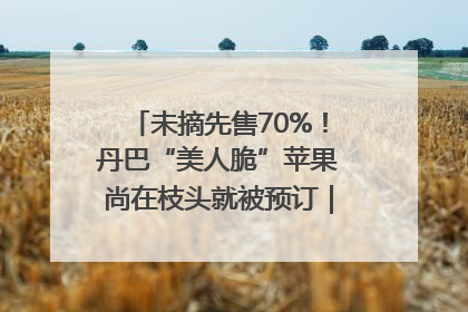 未摘先售70%！丹巴“美人脆”苹果尚在枝头就被预订｜长征路上看四川