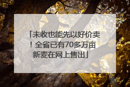 未收也能先以好价卖！全省已有70多万亩新麦在网上售出