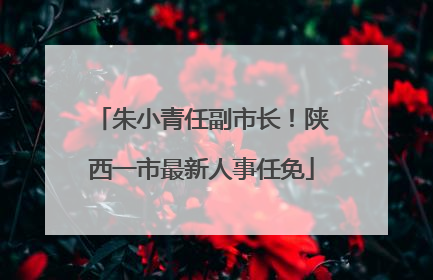 朱小青任副市长！陕西一市最新人事任免