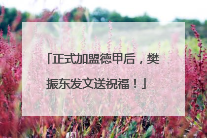 正式加盟德甲后，樊振东发文送祝福！